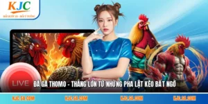 Đá Gà Thomo - Thắng Lớn Từ Những Pha Lật Kèo Bất Ngờ