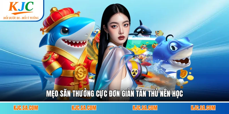 Mẹo săn thưởng cực đơn giản tân thủ nên học