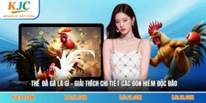 Thế Đá Gà Là Gì - Giải Thích Chi Tiết Các Đòn Hiểm Độc Đáo