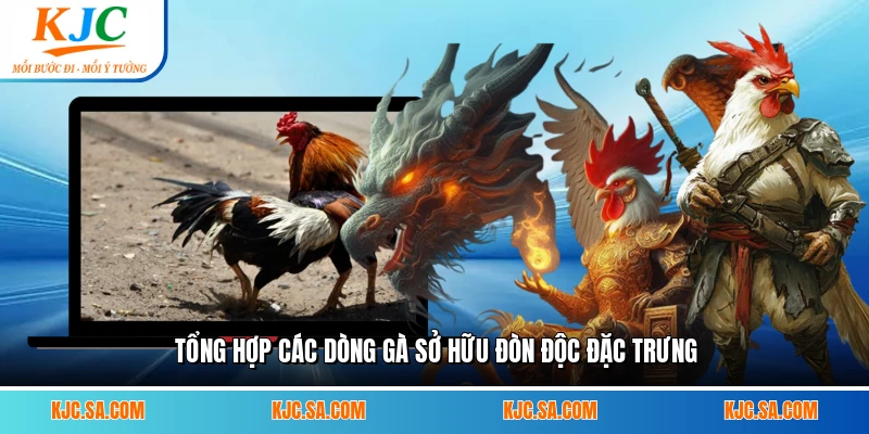 Tổng hợp các dòng gà sở hữu đòn độc đặc trưng
