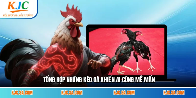 Tổng hợp những kèo gà khiến ai cũng mê mẩn